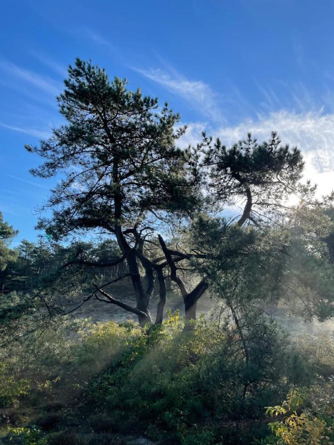 The Forester スコールル エクステリア 写真